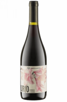 DO San Javier Chile Lirio Garnacha 2019 Wildmakers