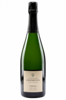 Extra Brut Blanc De Blancs Grand Cru Terroirs Agrapart 75cl