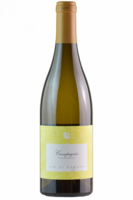 Friuli Isonzo DOC Chardonnay Ciampagnis 2022 Vie Di Romans