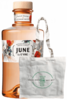 Gin June by G