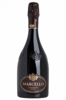 Lambrusco Marcello Gran Cru Ariola