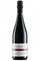 Lambrusco Secco Opera02