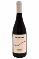 Merlot Terre46 2024