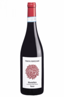 Montefalco Rosso Tenuta Fontecaime 2022