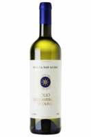 Olio EVO Raccolta 2023 Tenuta San Guido 75cl