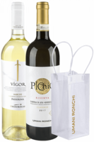 Passerina Vigor 2023 + Verdicchio Riserva Plenio 2021 Umani Ronchi + OMAGGIO icebag Umani Ronchi