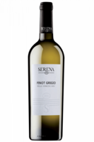Pinot Grigio Delle Venezie DOC 2023 Serena 1881