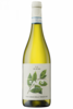 Pinot Grigio Delle Venezie DOC Tavo 2023 iLauri