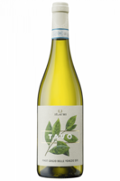 Pinot Grigio Delle Venezie DOC Tavo 2023 iLauri