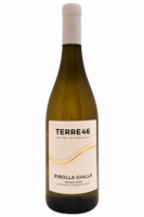 Ribolla Gialla Terre46 2025
