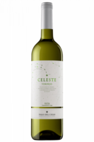 Rueda DO Celeste Verdejo 2022 Torres