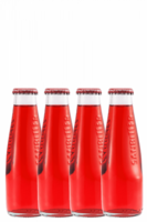 Sanbittèr Rosso Cassa Da 10 Bottiglie x 10cl