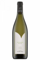 Sauvignon Bio Cantina Toblino 2023