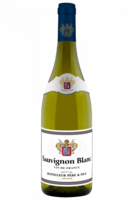 Sauvignon Dufouleur Père et Fils 2024