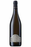 Trebbiano D