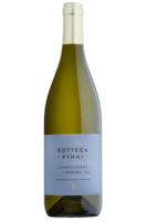 Trentino DOC Chardonnay 2021 Bottega Vinai
