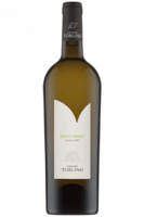 Trentino DOC Pinot Grigio Bio 2023 Cantina Toblino