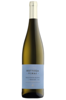 Trentino DOC Sauvignon Blanc 2021 Bottega Vinai
