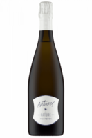 Trentodoc Brut Nature Antares 2019 Cantina Toblino