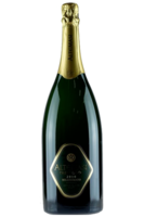 Trentodoc Millesimato 2018 Brut Altemasi (Magnum)