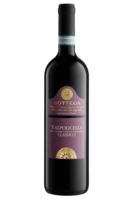 Valpolicella Classico DOC 2018 Bottega