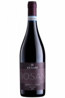 Valpolicella Ripasso Superiore DOC Bosan 2019 Cesari