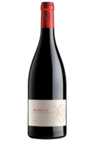 Valpolicella Superiore DOC 2018 Musella