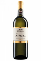 Vermentino Irisse ColleMassari 2022