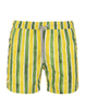 Costume da Bagno A Righe Verdi e Gialle
