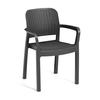 Allibert sedia da esterno allibert k249570k939kk bella grafite Arredo giardino Brico giardino animali