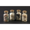 Amicasa conchiglie small (conf. da 12 pz.) barattolo amicasa art 1 conchiglie small asso