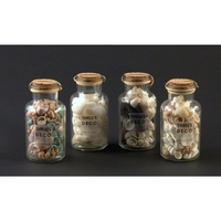 Amicasa conchiglie small (conf. da 12 pz.) barattolo amicasa art 1 conchiglie small asso