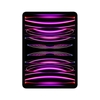 Apple 11-inch iPad Pro Wi-Fi + Cellular 512GB - Space Grey Tablet Informatica