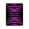Apple 12.9-inch iPad Pro Wi-Fi 512GB - Space Grey Tablet Informatica