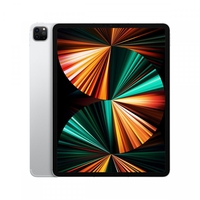 Apple 12.9-inch ipad pro wifi + cellular 128gb - silver Tablet Informatica