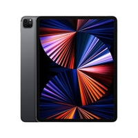 Apple 12.9-inch ipad pro wifi + cellular 128gb - space grey Tablet Informatica