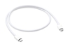Apple cavo tb3 (usb-c) to tb3 Cavi - accessori vari Informatica