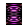 Apple ipad pro 12.9 wf cl 256 gry Tablet Informatica