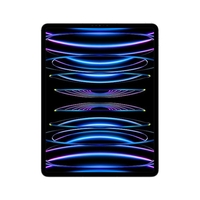 Apple mp233ty/a Tablet Informatica