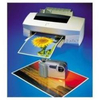 Avery 1398-200 carta fotogr.a4 200gr laser 200fg. fotografica per stamp.laser 1398-200 Materiale di consumo Informatica