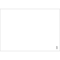 Avery quality etichette sra3 320x450mm 100ff per stampa digitale Quality