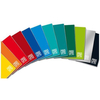 Blasetti cf5 maxi cart.one color 60ff 10m a4 ONE COLOR Blocchi quaderni e rubriche Ufficio cancelleria