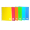 Blasetti cf6 one color ppl no forato a4 5m a5 ONE COLOR Blocchi quaderni e rubriche Ufficio cancelleria