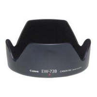 Canon paraluce canon 9823a001 ew 73b Monitor Informatica