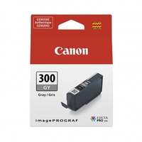 Canon pfi-300 gy serbatoi bj Materiale di consumo Informatica