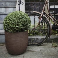 Capi vaso rotondo nature rib 54x52 cm marrone scuro Arredo giardino Brico giardino animali