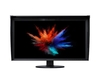 Eizo coloredge cg319x 31wide ips 4k dci eizo ColorEdge CG319X Monitor Informatica