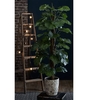 Emerald monstera artificiale con palo 150 cm Arredo giardino Brico giardino animali