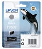 Epson cart.inch. black light squalo Materiale di consumo Informatica
