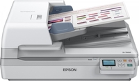 Epson ep sca. workforce ds-70000n - a3 WORKFORCE DS-70000N Scanner Informatica